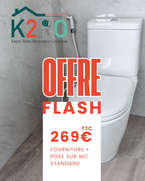 WC classique + douchette